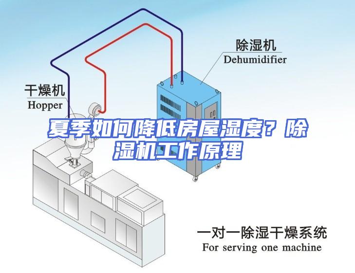 夏季如何降低房屋湿度？除湿机工作原理