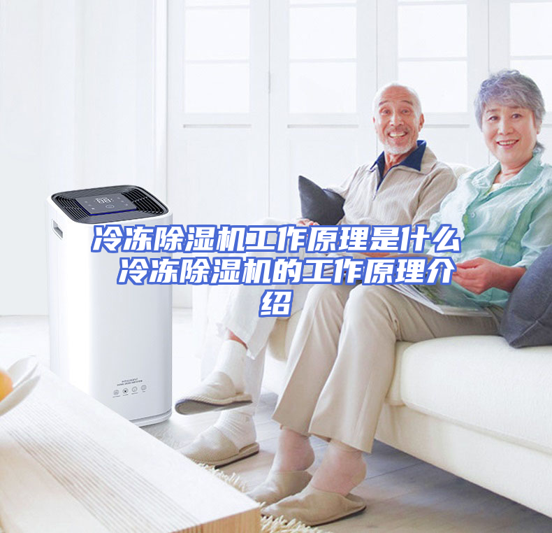 冷冻除湿机工作原理是什么 冷冻除湿机的工作原理介绍
