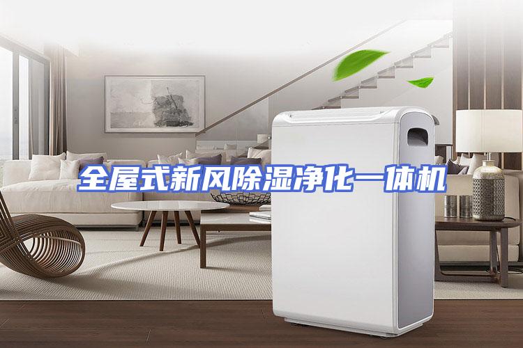 全屋式新风除湿净化一体机