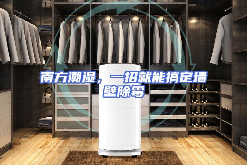 南方潮湿，一招就能搞定墙壁除霉