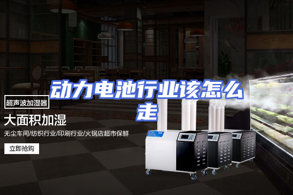 动力电池行业该怎么走