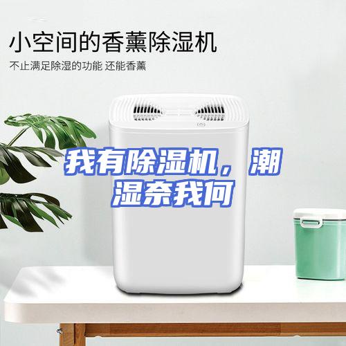 我有除湿机，潮湿奈我何