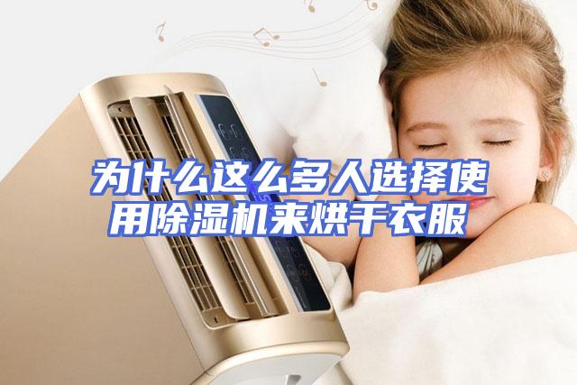 为什么这么多人选择使用除湿机来烘干衣服