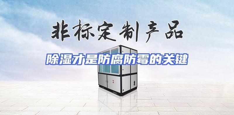 除湿才是防腐防霉的关键