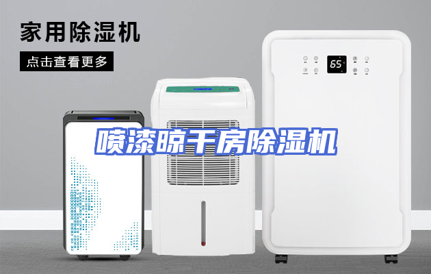 喷漆晾干房除湿机
