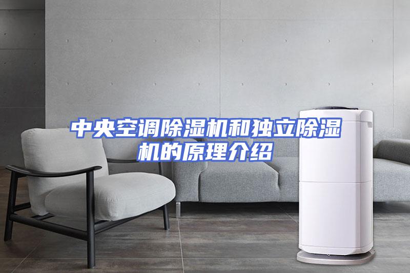 中央空调除湿机和独立除湿机的原理介绍