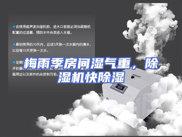 梅雨季房间湿气重，除湿机快除湿