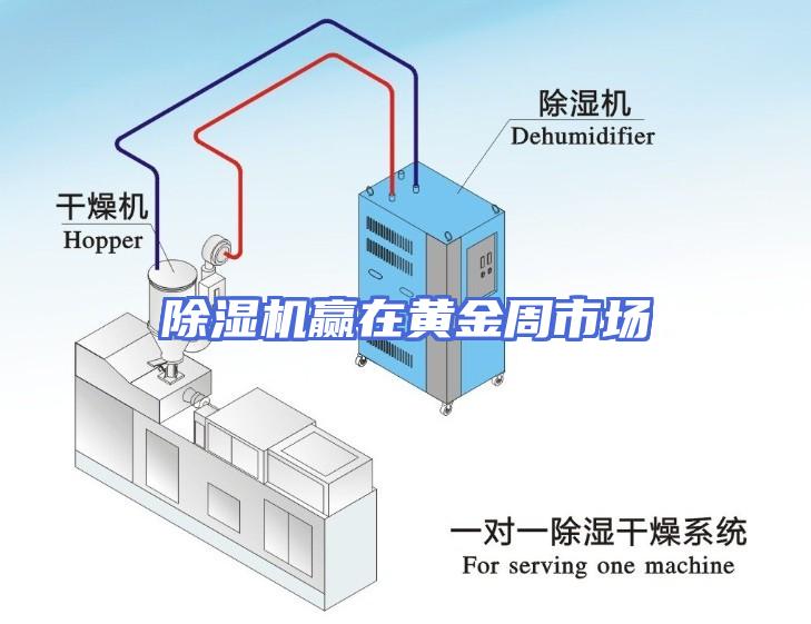 除湿机赢在黄金周市场