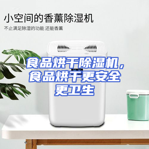 食品烘干除湿机，食品烘干更安全更卫生