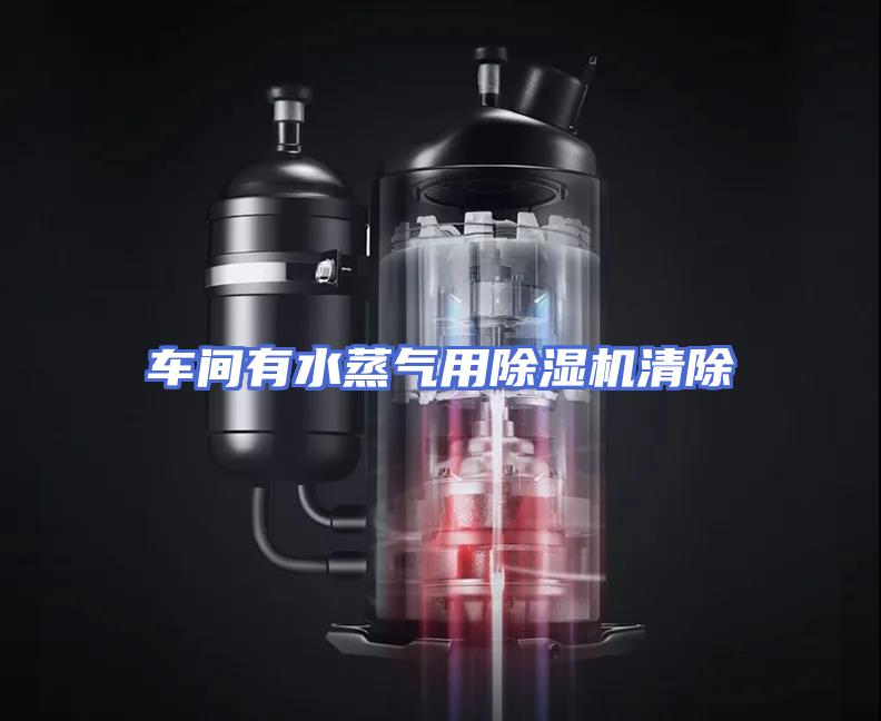 车间有水蒸气用除湿机清除