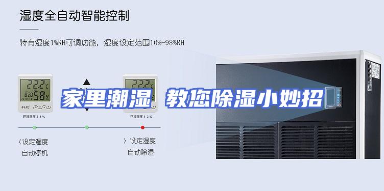 家里潮湿 教您除湿小妙招