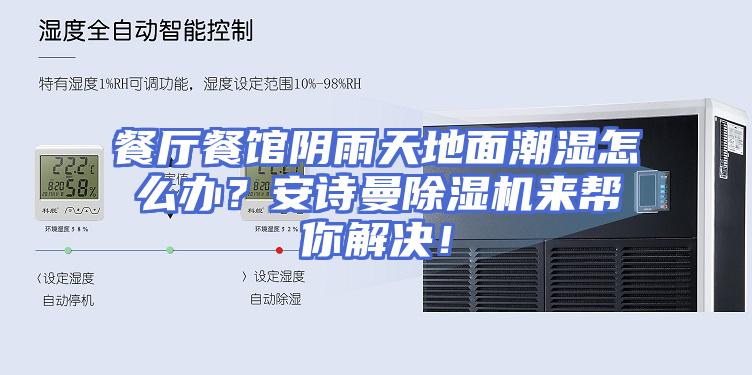 餐厅餐馆阴雨天地面潮湿怎么办？安诗曼除湿机来帮你解决！