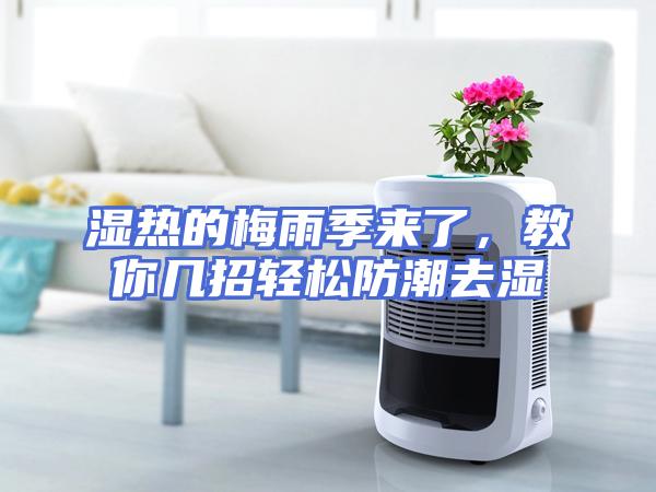 湿热的梅雨季来了，教你几招轻松防潮去湿