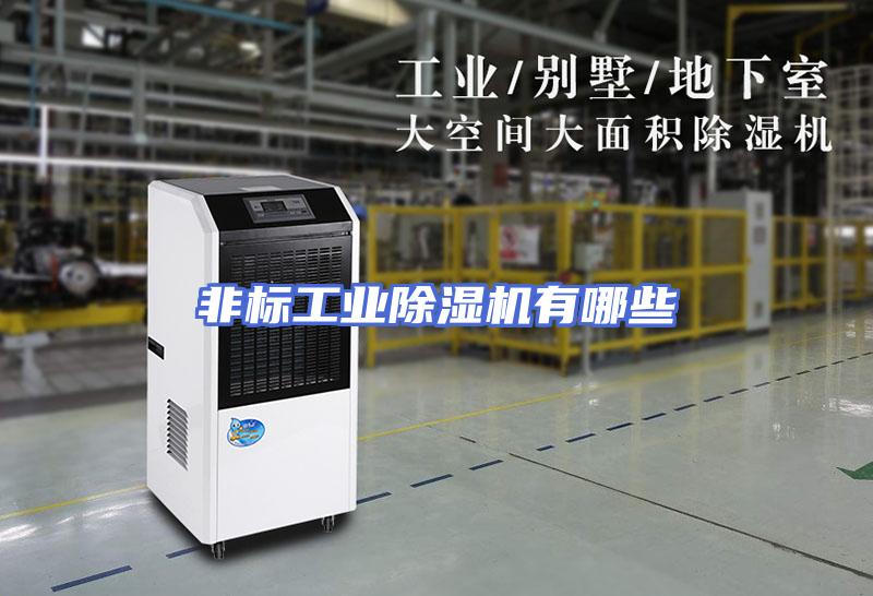 非标工业除湿机有哪些