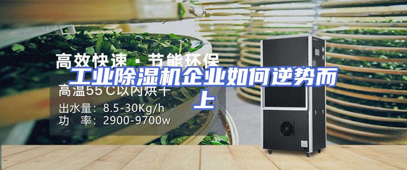 工业除湿机企业如何逆势而上