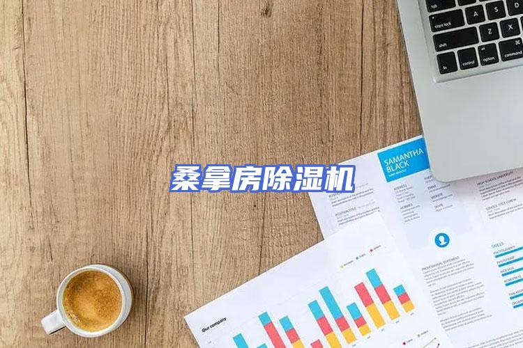 桑拿房除湿机