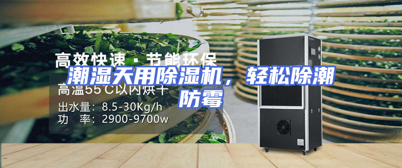 潮湿天用除湿机，轻松除潮防霉