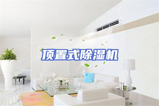 顶置式除湿机