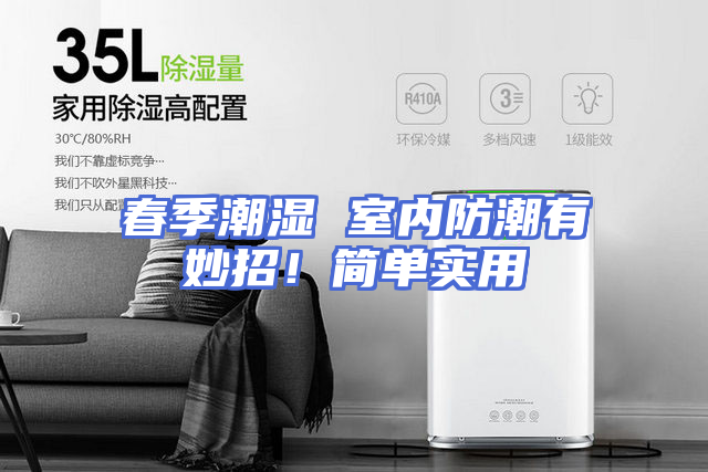 春季潮湿 室内防潮有妙招！简单实用