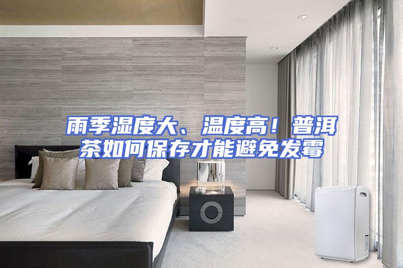 雨季湿度大、温度高！普洱茶如何保存才能避免发霉