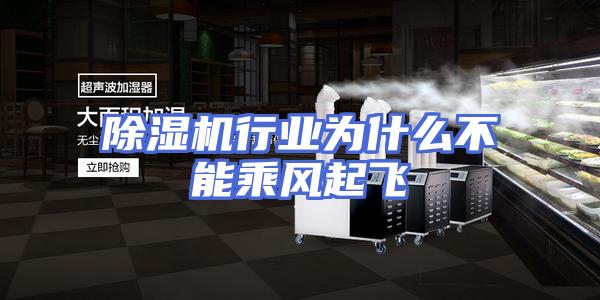除湿机行业为什么不能乘风起飞