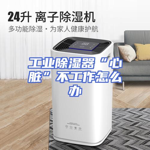 工业除湿器“心脏”不工作怎么办
