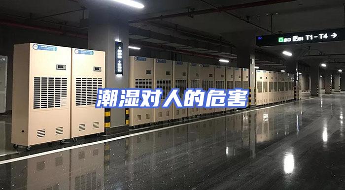 潮湿对人的危害