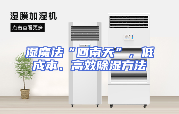 湿魔法“回南天”，低成本、高效除湿方法