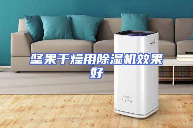 坚果干燥用除湿机效果好
