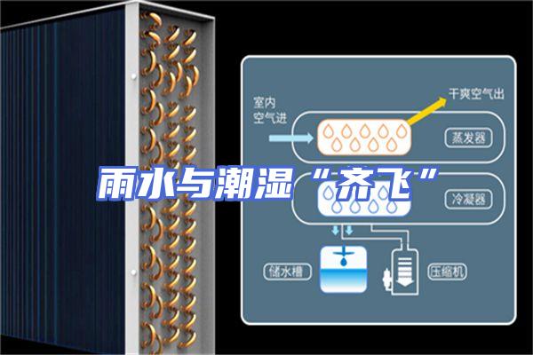雨水与潮湿“齐飞”