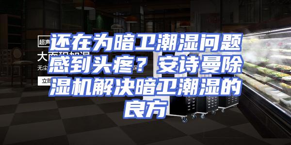 还在为暗卫潮湿问题感到头疼？安诗曼除湿机解决暗卫潮湿的良方
