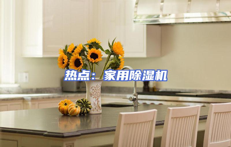 热点：家用除湿机