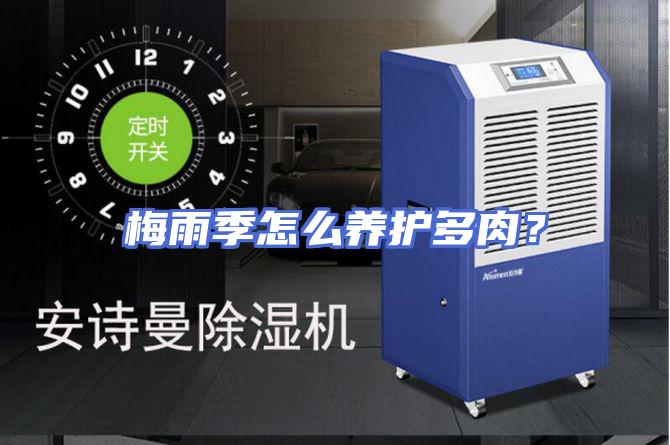 梅雨季怎么养护多肉？