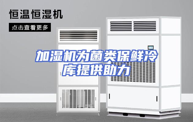 加湿机为菌类保鲜冷库提供助力