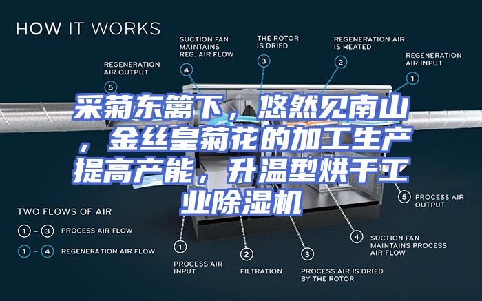 采菊东篱下，悠然见南山，金丝皇菊花的加工生产提高产能，升温型烘干工业除湿机