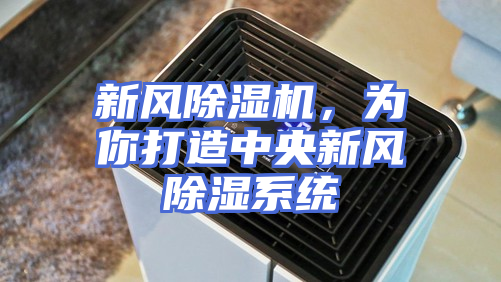 新风除湿机，为你打造中央新风除湿系统