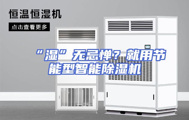 “湿”无忌惮？就用节能型智能除湿机