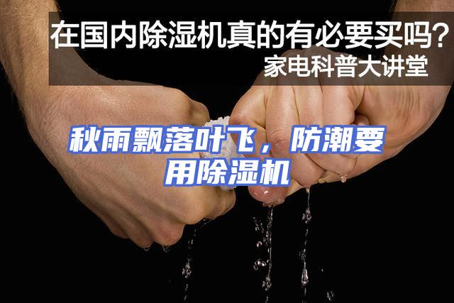 秋雨飘落叶飞，防潮要用除湿机
