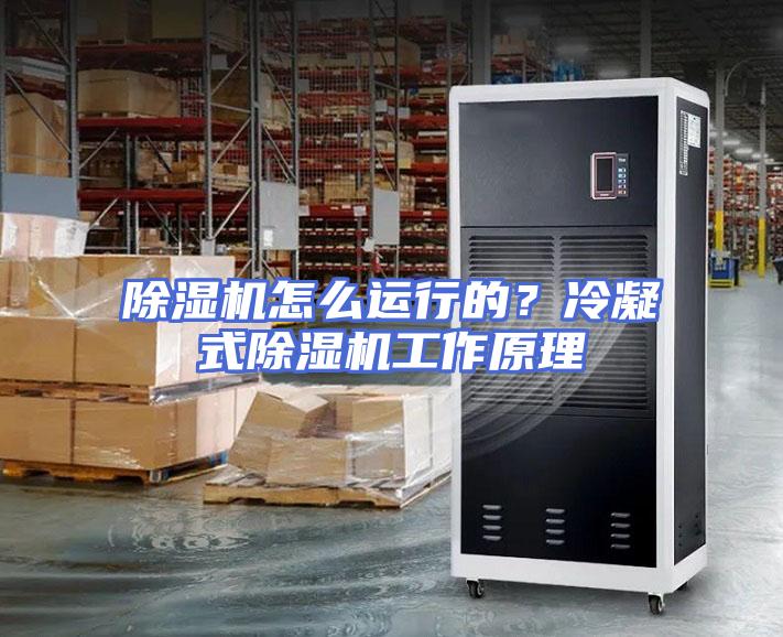 除湿机怎么运行的？冷凝式除湿机工作原理