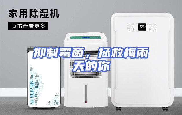 抑制霉菌，拯救梅雨天的你