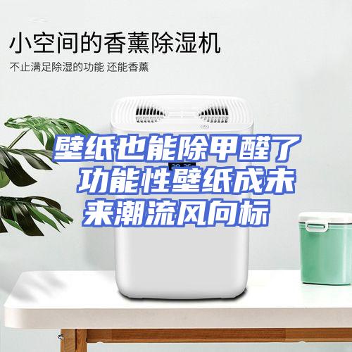 壁纸也能除甲醛了 功能性壁纸成未来潮流风向标