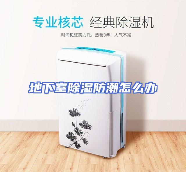 地下室除湿防潮怎么办