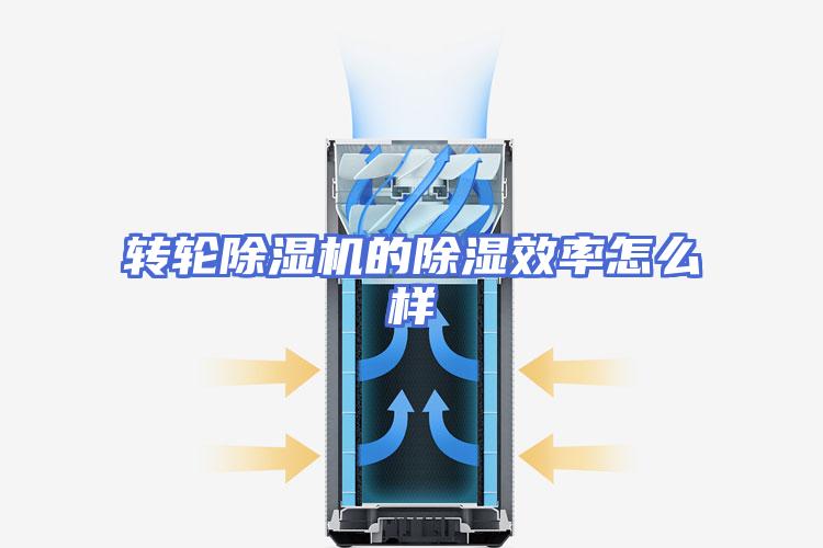 转轮除湿机的除湿效率怎么样