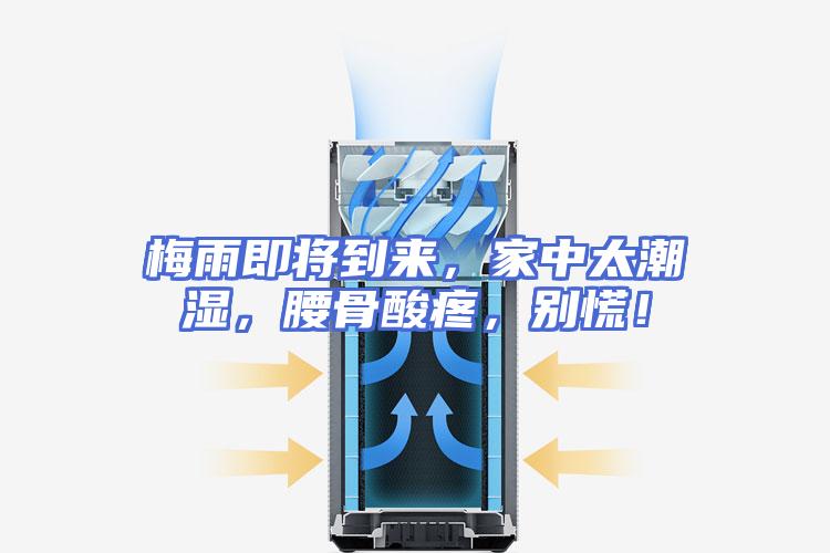 梅雨即将到来，家中太潮湿，腰骨酸疼，别慌！