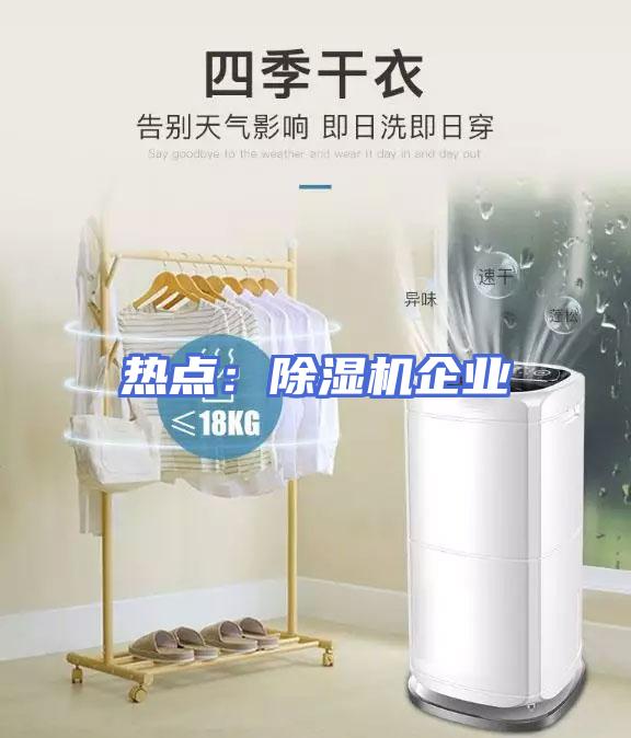热点：除湿机企业