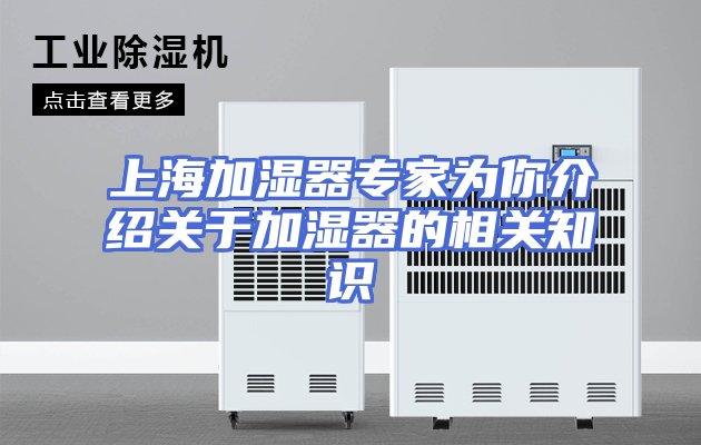 上海加湿器专家为你介绍关于加湿器的相关知识