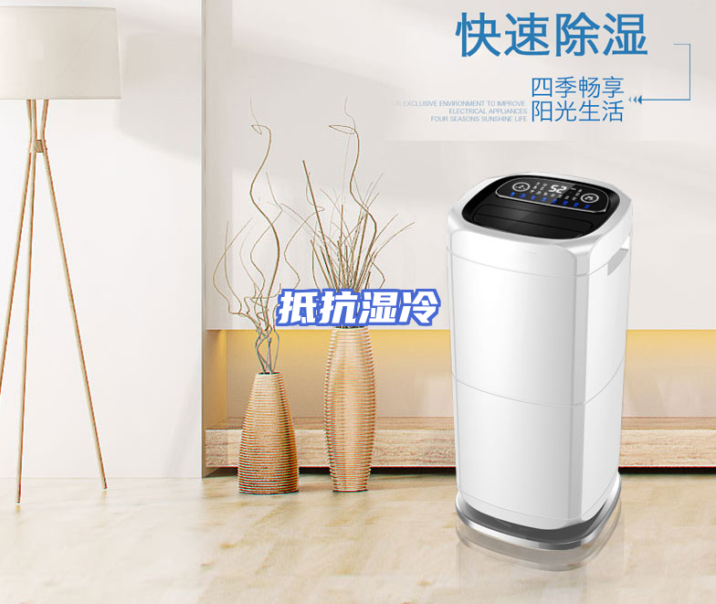 抵抗湿冷