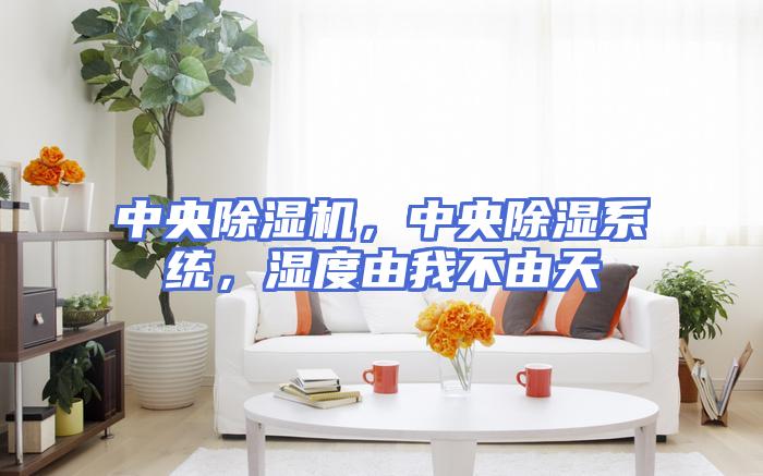 中央除湿机，中央除湿系统，湿度由我不由天