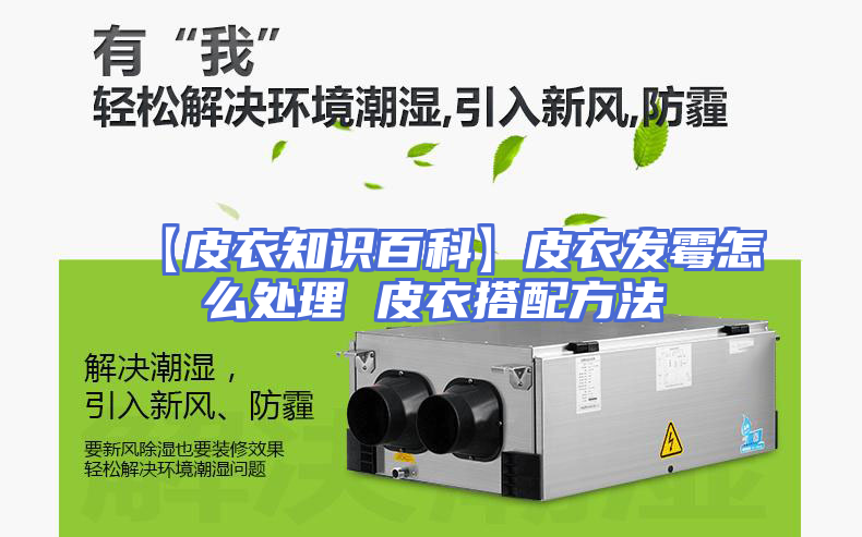 【皮衣知识百科】皮衣发霉怎么处理 皮衣搭配方法