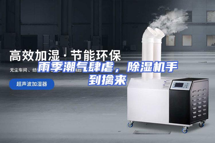 雨季潮气肆虐，除湿机手到擒来